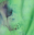 PATTERN GREEN