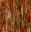CINNAMON PATTERN