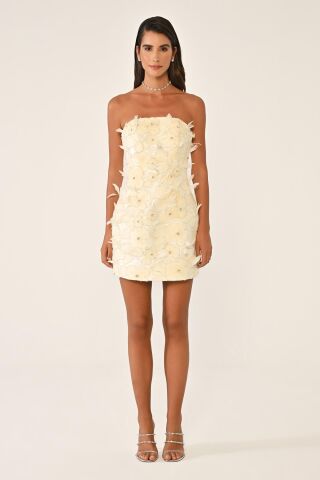 Straplez Tüylü Çiçek Aksesuarlı Krep Kısa Elbise EKRU - 40