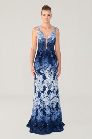 LONG TRANSPARENT DRESS BUST